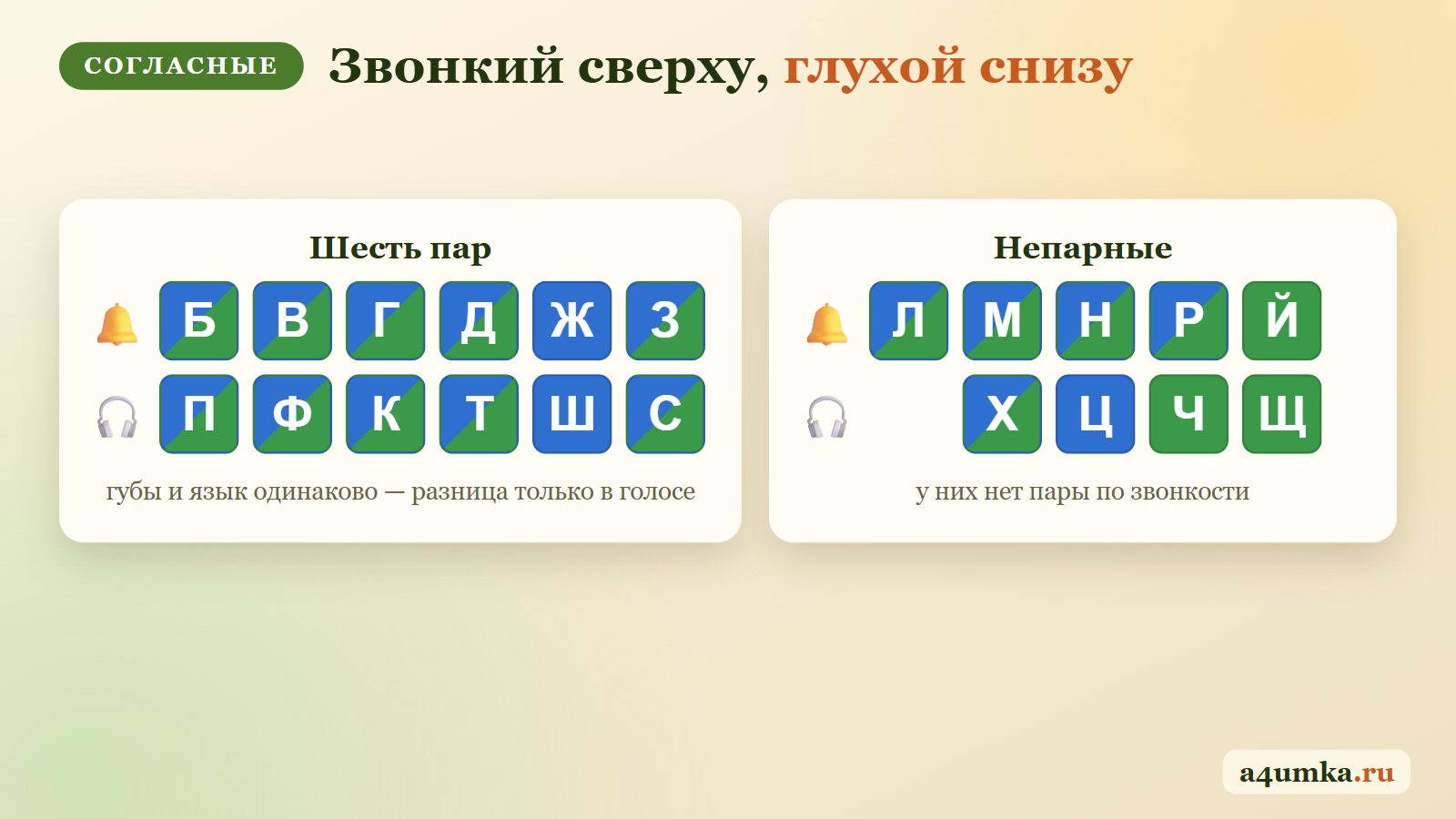 Парные звонкие и глухие согласные: Б—П, В—Ф, Г—К, Д—Т, Ж—Ш, З—С; непарные звонкие Л М Н Р Й и непарные глухие Х Ц Ч Щ